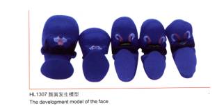 颜面发生模型