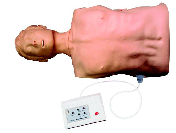 FSR-Ⅱ半身心肺复苏训练模拟人(简易型)