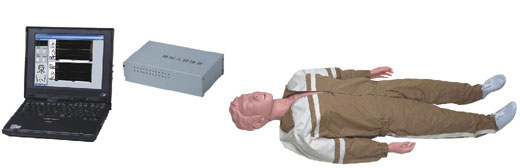 KAR/CPR600型高级心肺复苏训练模拟人
