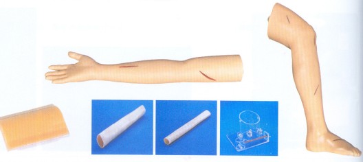 外科综合技能训练组合模型