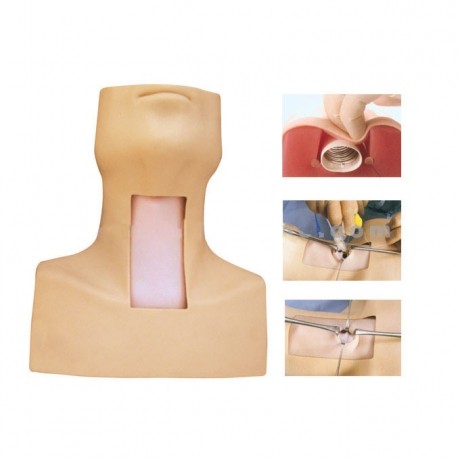 高级环甲膜穿刺及气管切开插管训练模型