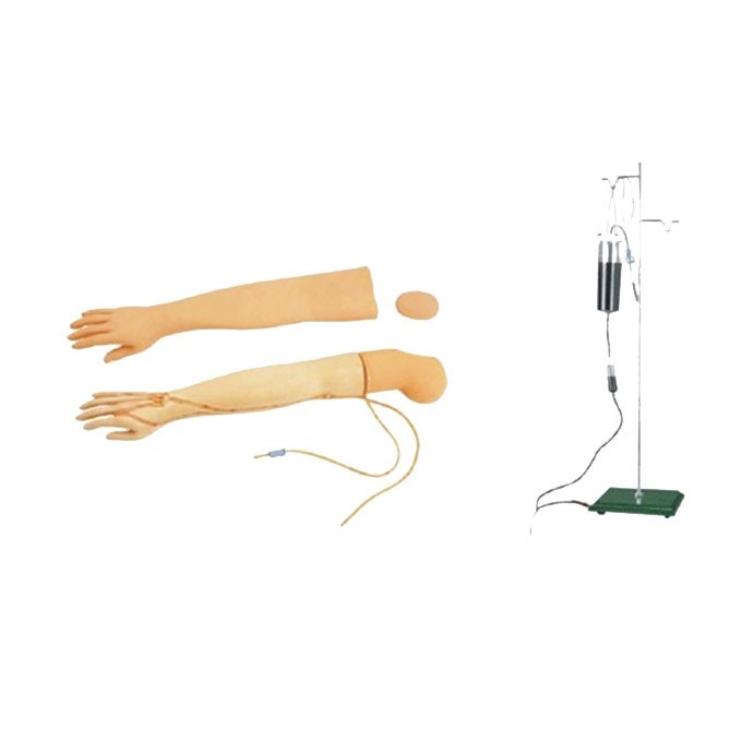 新型手臂静脉穿刺及肌肉注射训练模型（可换外皮）
