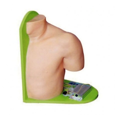 高级肩关节腔内注射模型