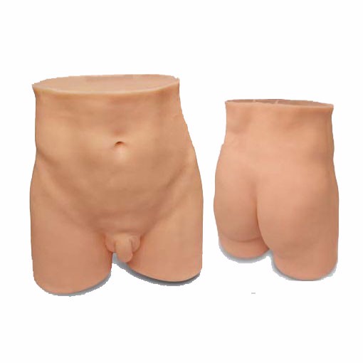 臀部针灸训练模型