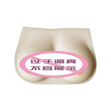 女性乳房模型